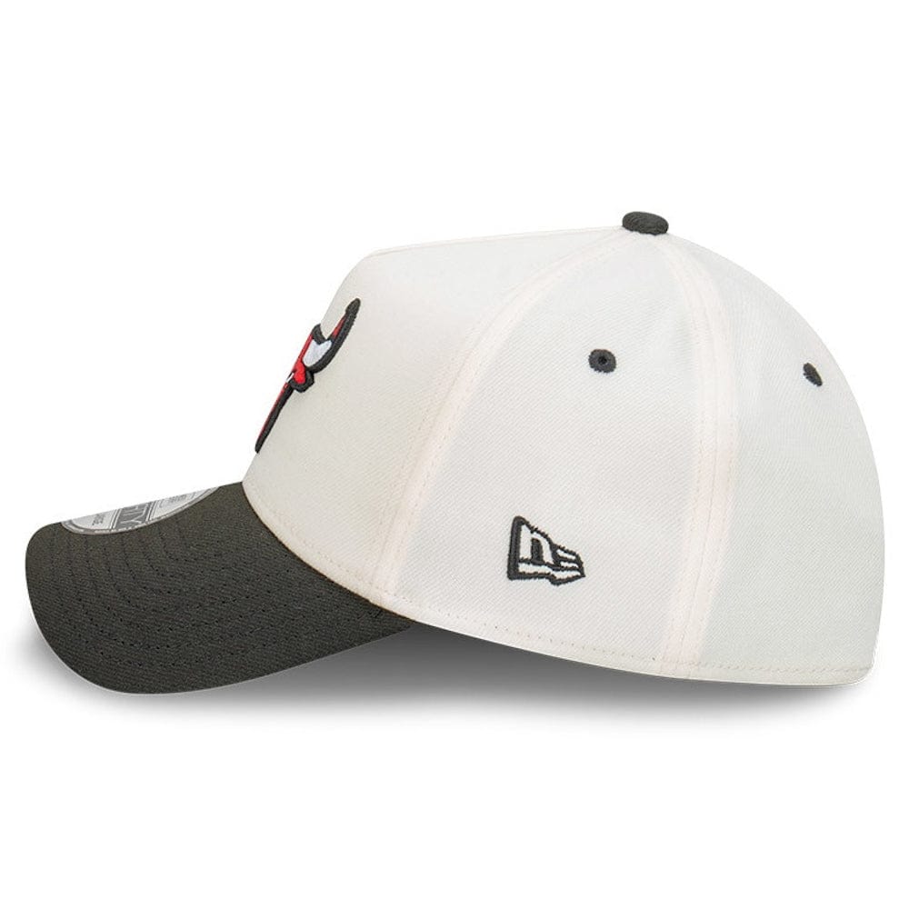 New Era 39THIRTY Cut N Paste A-Frame Stretch Fit Cap Chicago Bulls - Chrome White / Black