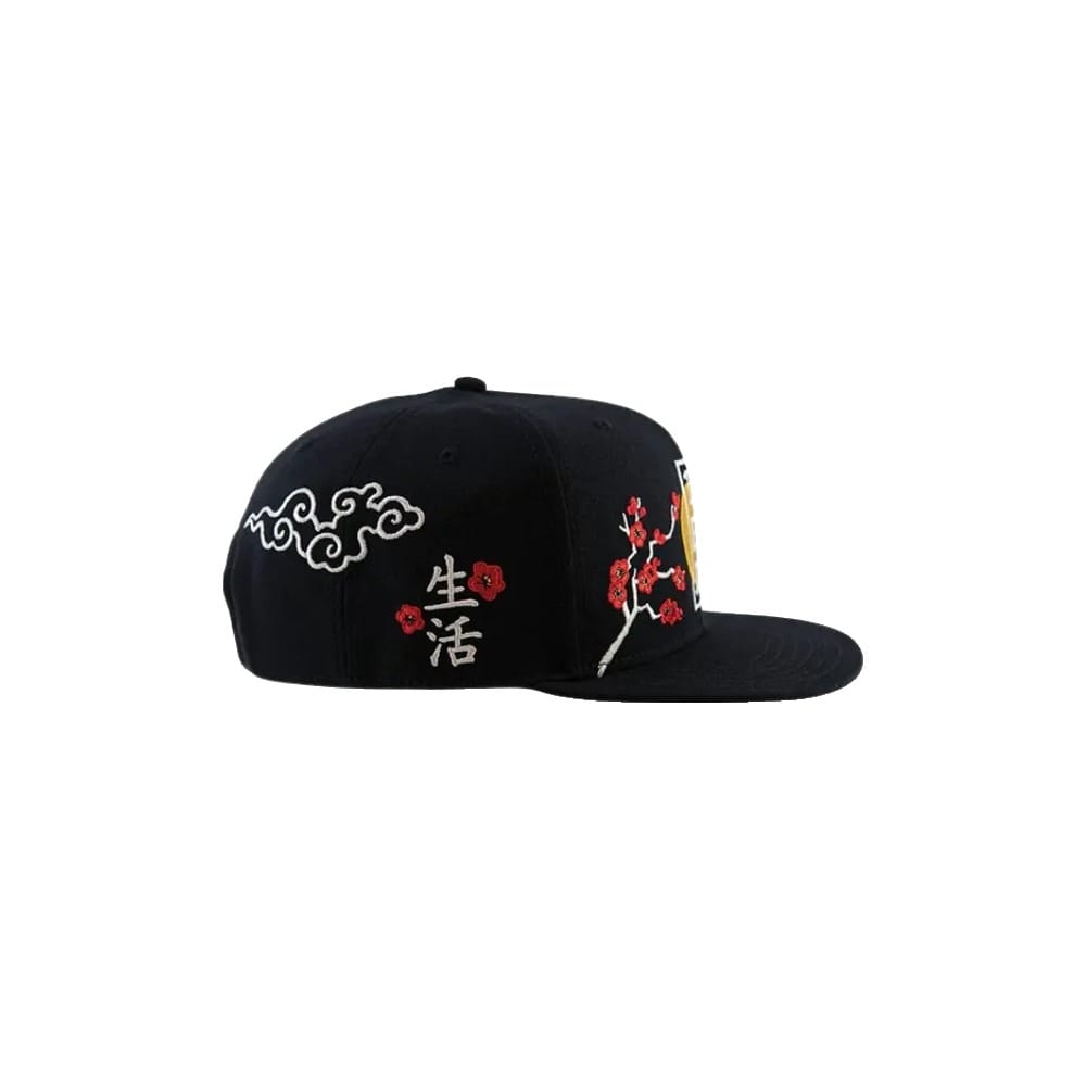DGK Patience Cap - Black