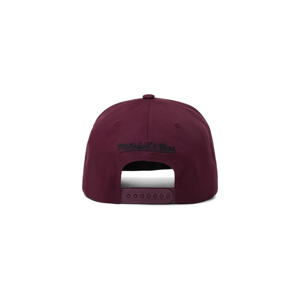 Mitchell & Ness Lacquer Pro Pinch Snapback  Oakland Raiders - Fig
