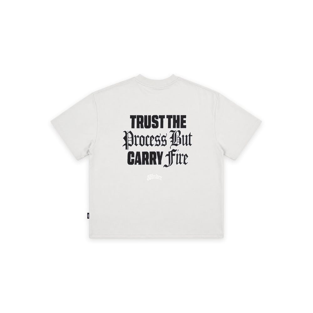 WNDRR Process Heavy Weight Tee - Oyster